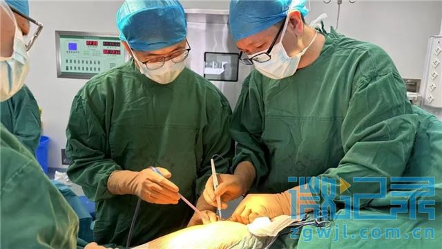 19215509182525509_39.jpg 19215509182525509_39.jpg